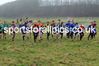 Boys under-13s 2022 North Eastern Harrier League, Thornley Farm, Peterlee, County Durham. Photo: David T. Hewitson/Sports for All Pics